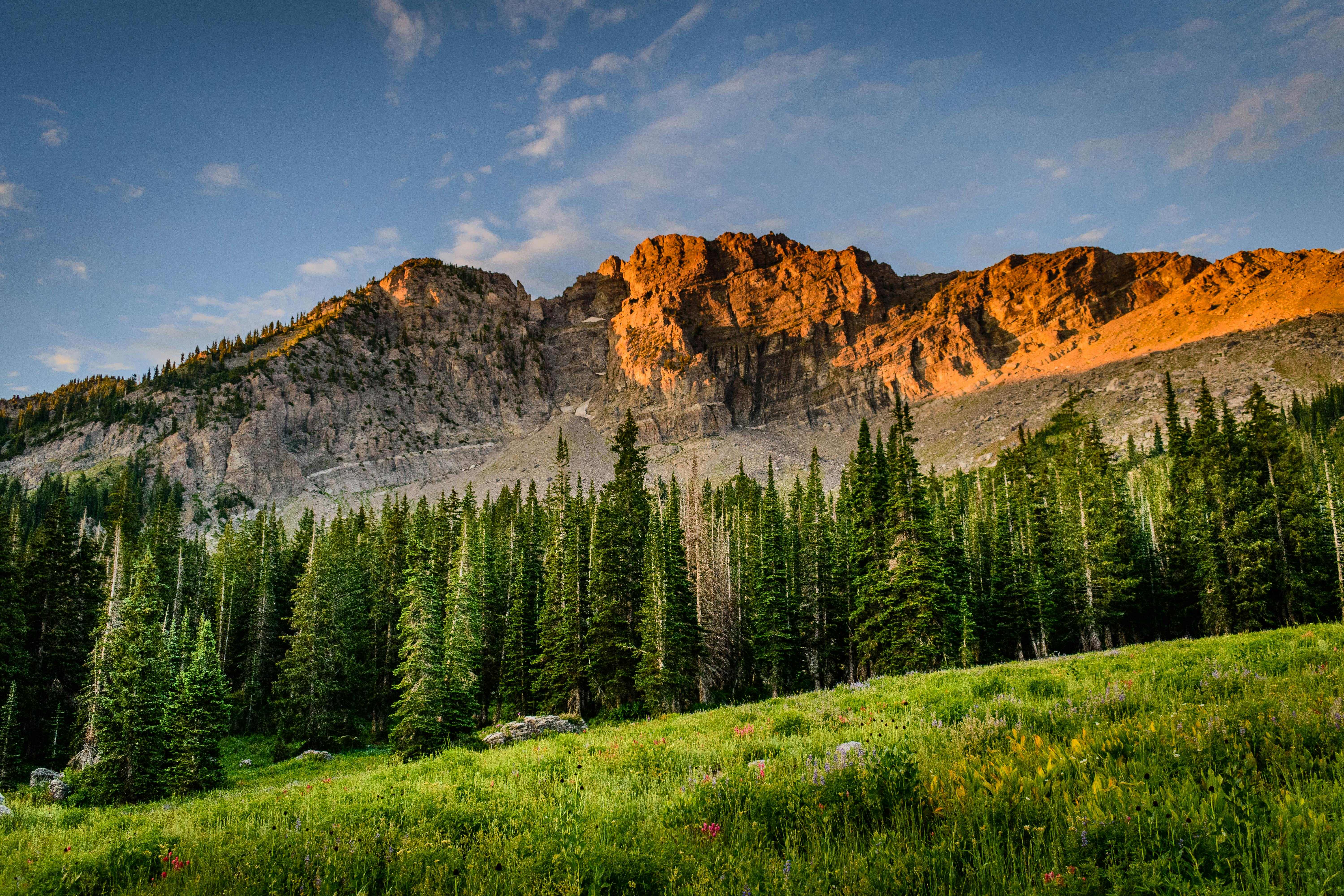Serene mountain landscape at sunrise